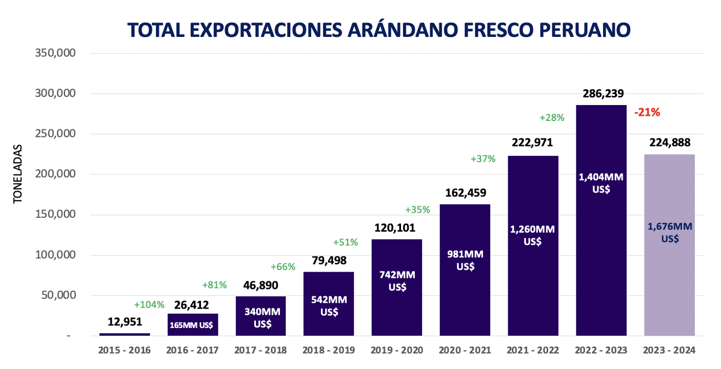 Export arandanos