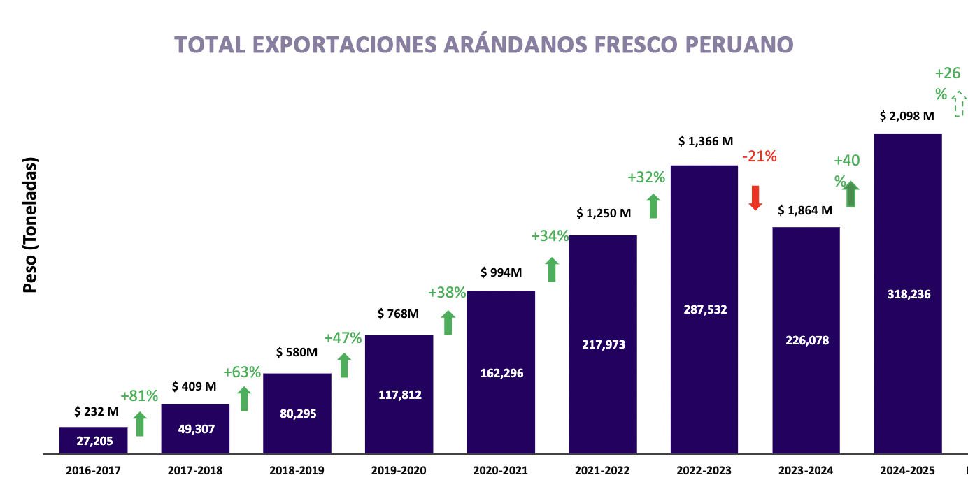 Exportacion 24-25